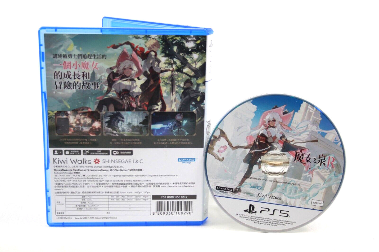 Witch's Fountain R - PlayStation 5 (PS5) Multilanguage - WITH WARRANTY